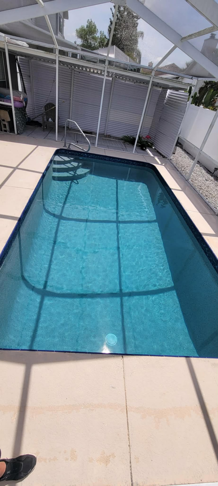 Screened rectangular pool with clear blue water in Palm Harbor