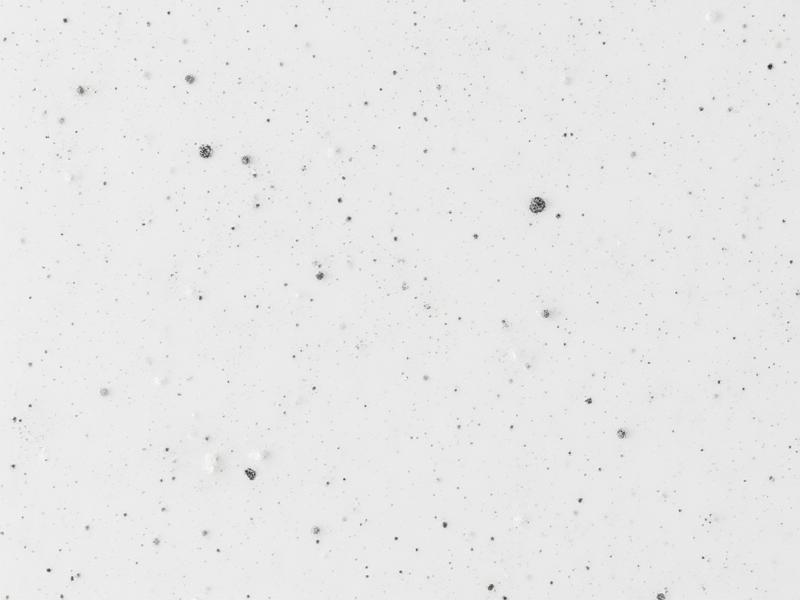 Pearl White quartz pool finish sample